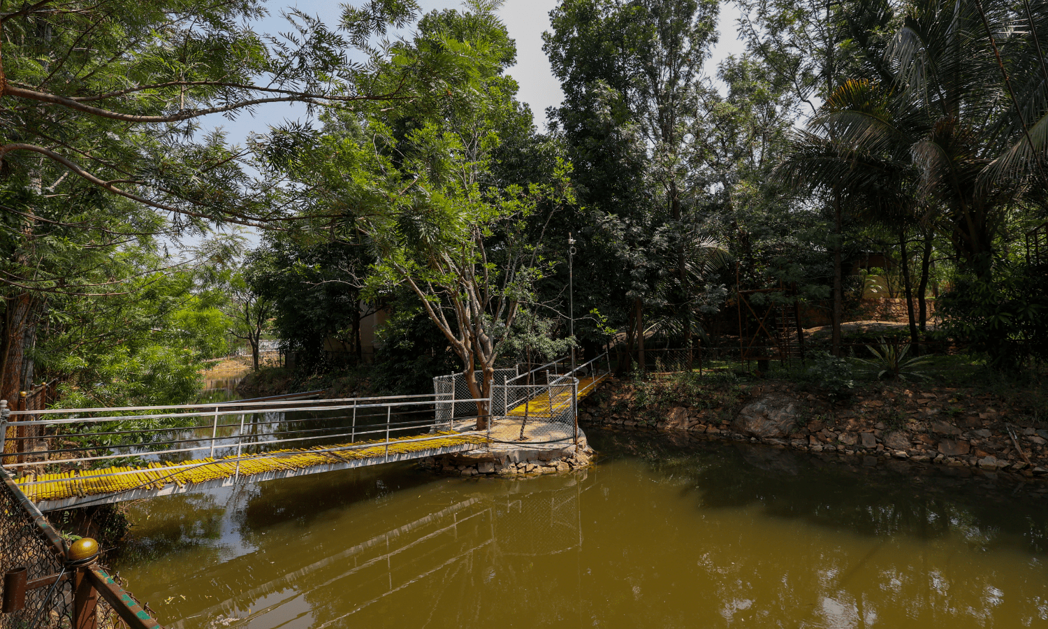 Bamboo Walk