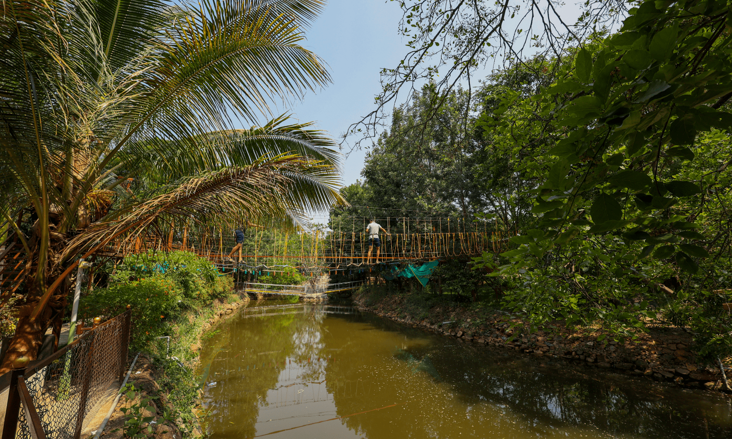 Bamboo Walk