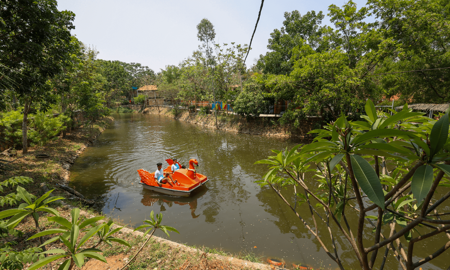 Pedal Boating